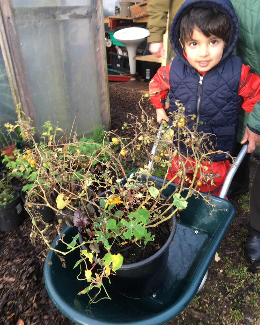 Instagram post from ngcfi. This post is in position 0.