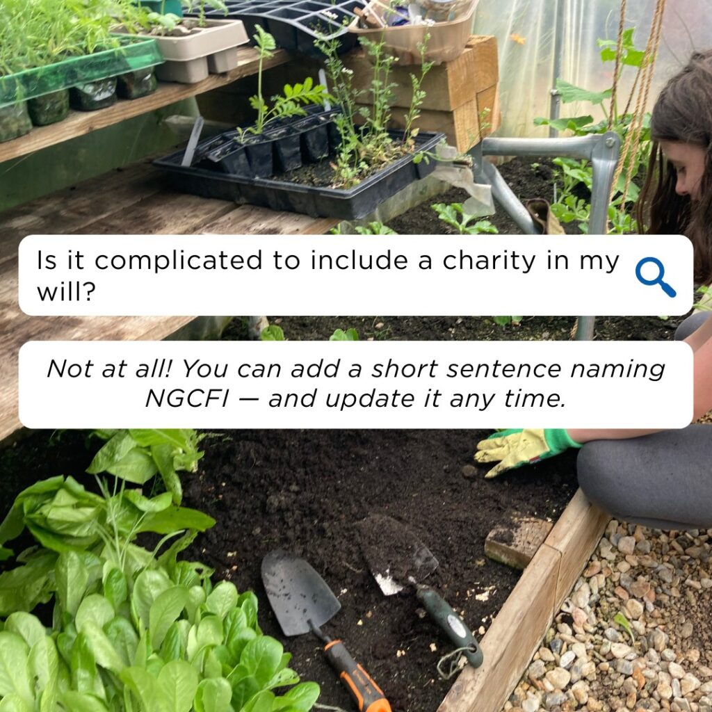 Instagram post from ngcfi. This post is in position 2.