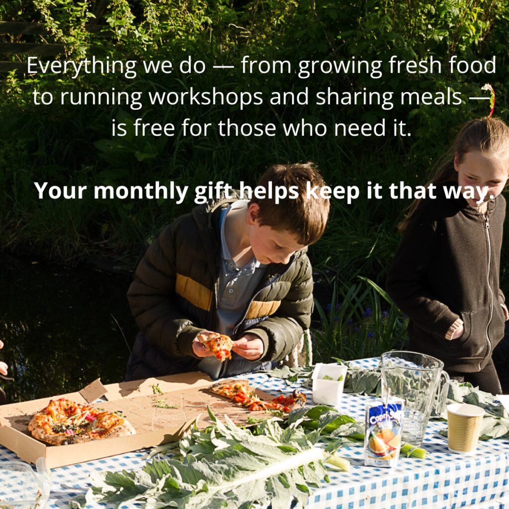 Instagram post from ngcfi. This post is in position 1.