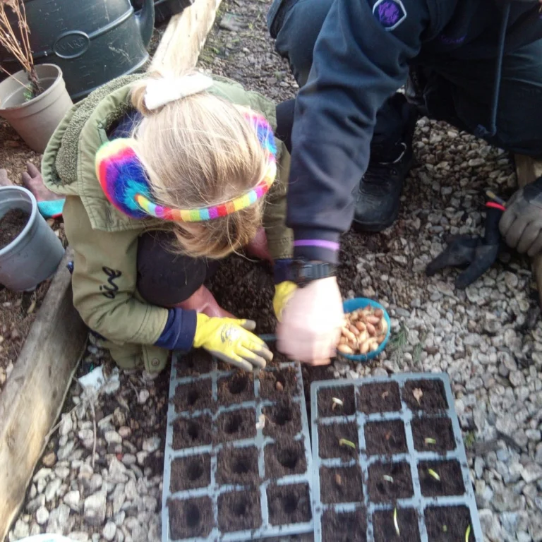 Instagram post from ngcfi. This post is in position 2.