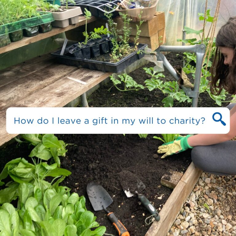 Instagram post from ngcfi. This post is in position 1.